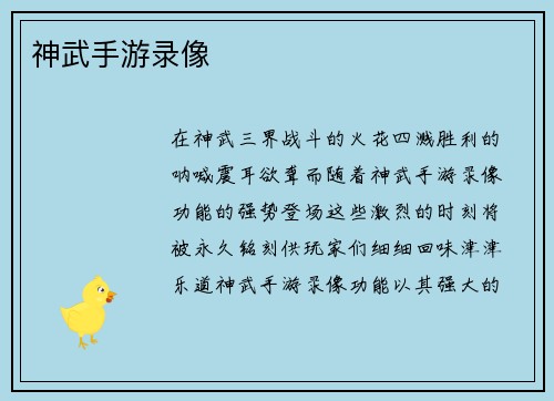 神武手游录像